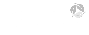 Logo agora w